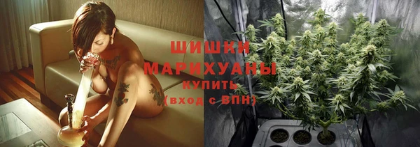 соль ск Лиски